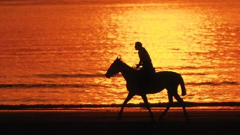 Horseride at Sunset